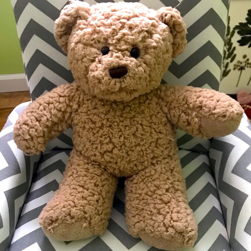 Brand New Build a Bear Teddy